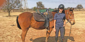 Fitting a McClellan saddle