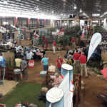 Bonsmara’s Red Breed Event and National Female Sale