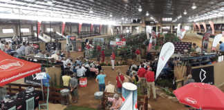 Bonsmara’s Red Breed Event and National Female Sale