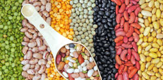 Celebrating 2019 World Pulses Day