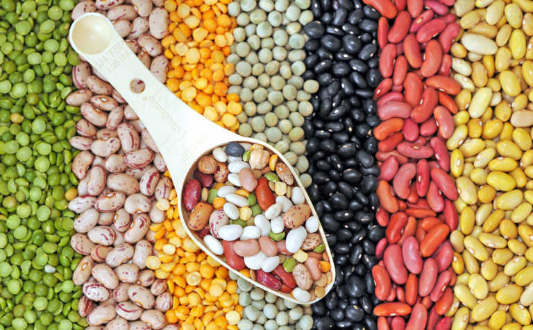 Celebrating 2019 World Pulses Day Celebrating 2019 World Pulses Day