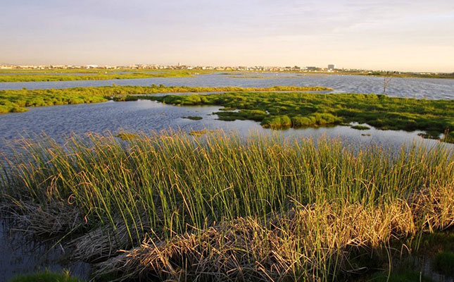 Saving our land: the importance of wetlands Saving our land: the importance of wetlands