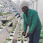 Themba Baladzi