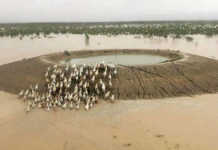 Queensland’s horror flood fallout