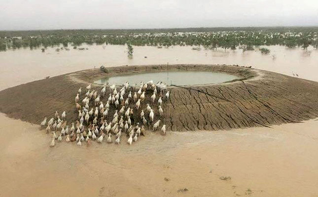 Queensland’s horror flood fallout