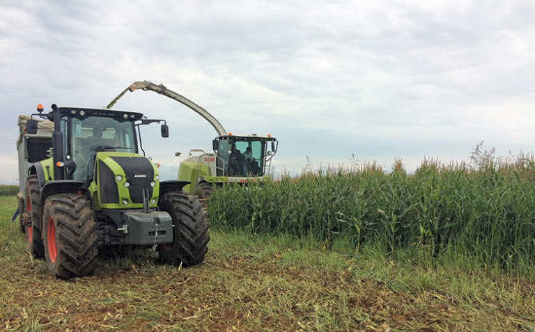 Farming machinery sales stall in January