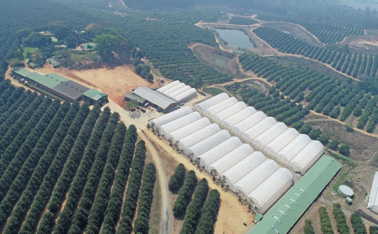New software helps farmers extract value from drone images New software helps farmers extract value from drone images