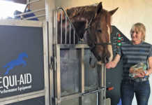 Equine hydrotherapy for leg injuries