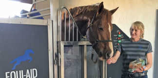 Equine hydrotherapy for leg injuries