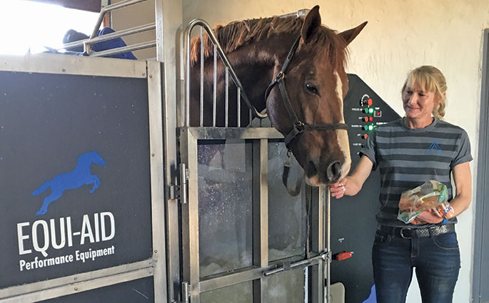 Equine hydrotherapy for leg injuries