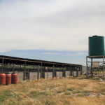Leandre Mitchley’s piggery