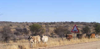 Call to support Namibian drought disaster fund