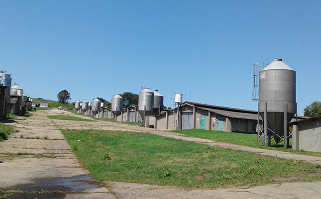 No neglect of R14 million poultry houses – eThekwini Municipality No neglect of R14 million poultry houses – eThekwini Municipality