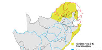 Which fish should be farmed in SA, and where?