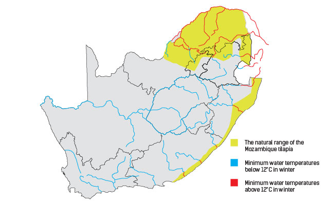 Which fish should be farmed in SA, and where?