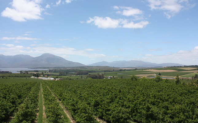 ‘Urgent overhaul of land reform process needed’ ‘Urgent overhaul of land reform process needed’