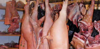 China to increase pork imports due to African swine fever