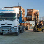 Trucks transporting pineapples