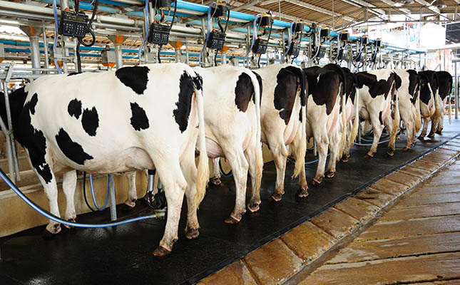 Chinese demand for dairy continues to rise