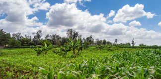 R32 million investment in Kenya’s small-scale farmers