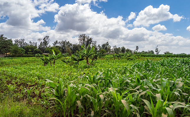 R32 million investment in Kenya’s small-scale farmers R32 million investment in Kenya’s small-scale farmers