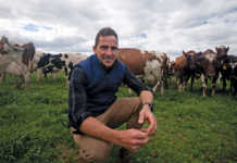 Huguenot Farms dairy manager Stuart Marais