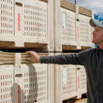 Orchard manager Joe Pringle