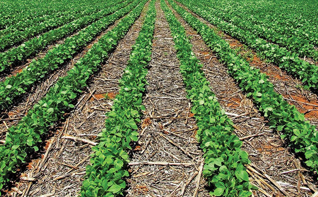 Switching to no-till? Restore degraded soil first!