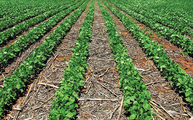 Switching to no-till? Restore degraded soil first!