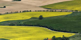 German farmers fear another drought after dry winter