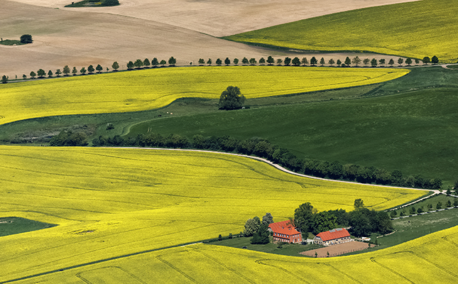 German farmers fear another drought after dry winter