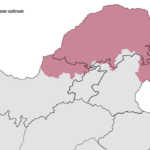 African swine fever