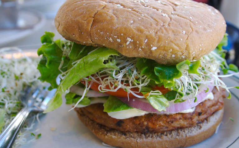 Proposed new EU rule to ban use of veggie ‘burger’