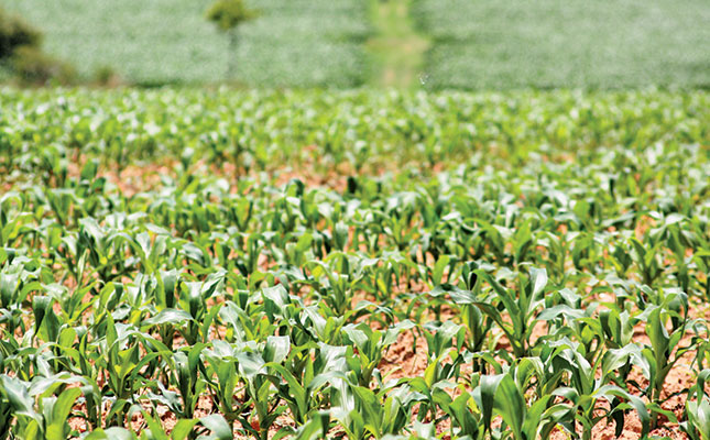 Zimbabwe to compensate white commercial farmers