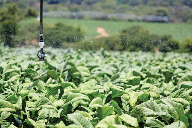 Zimbabwean farmers claim R1,9 billion from SA government Zimbabwean farmers claim R1,9 billion from SA government