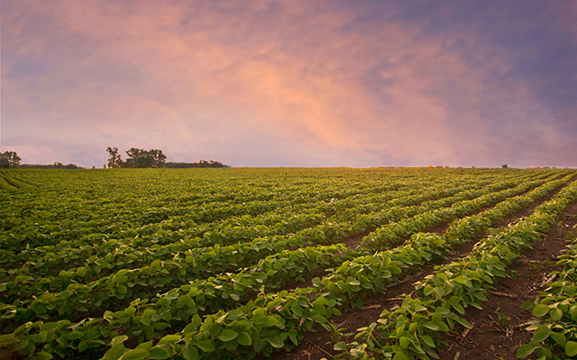 US$16 billion aid plan for US farmers as trade war intensifies