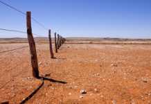 Persistent drought forces Australia to import wheat