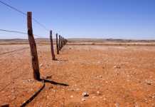 Persistent drought forces Australia to import wheat