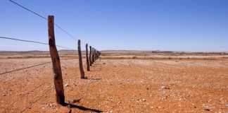 Persistent drought forces Australia to import wheat