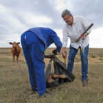 Stockman Bongaan Ncama assists Christopher Sparks