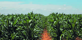 US$2 billion in damages awarded in Roundup cancer trial