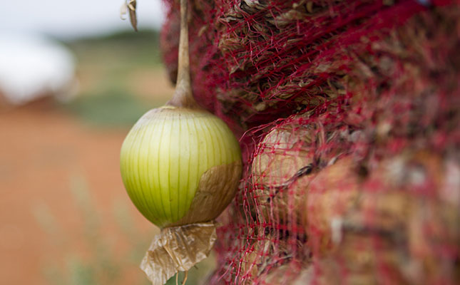 ‘Many factors impact vegetable price fluctuations’