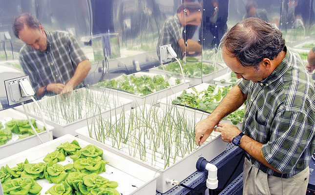 Getting started with hydroponics