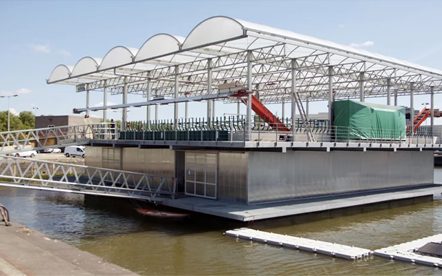 32 cows for world’s first floating farm