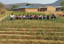 limpopo-school-garden