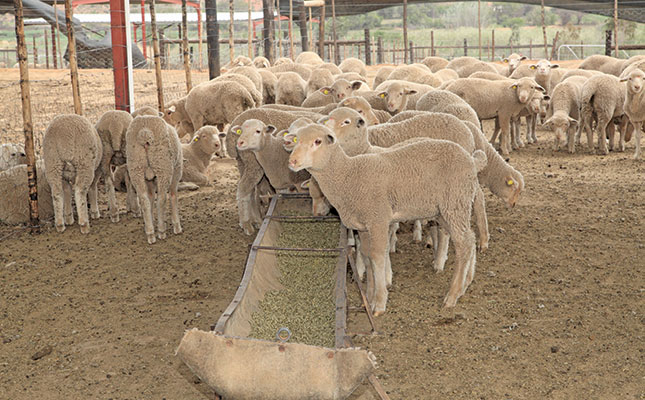 Self-made farmer shares his success story