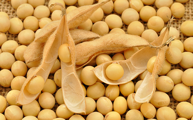 China to increase soya bean output amid trade tensions