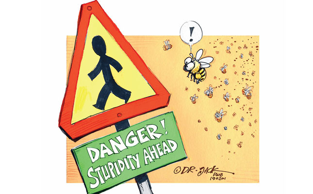Bees the victims of irresponsible pesticide use Bees the victims of irresponsible pesticide use