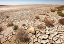 New UN agreement aims to stem the tide of desertification