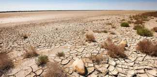 New UN agreement aims to stem the tide of desertification